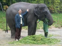 elephantism