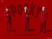 Pocky - YMO